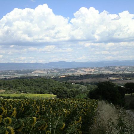 Hotel Sangallo B&B Montepulciano Exterior photo