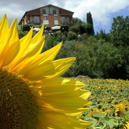 Hotel Sangallo B&B Montepulciano Exterior photo